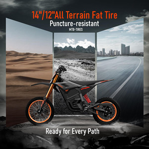 RiderX Moto Elettrica da Fuoristrada 3000W per Adulti e Adolescenti, Motore Brushless 220Nm - Product Image 3