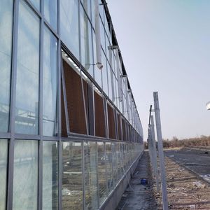 2025 coût d'usine <span class=keywords><strong>Serre</strong></span> commerciale Venlo 9.6m Span Glass Green house Garden Used for Sale - Product Image 6