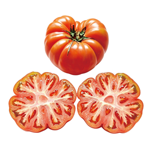 <span class=keywords><strong>Tomate</strong></span> moche, authentique ancienne variété à chair sableuse, mûrie naturellement en extérieur, idéale pour la consommation en cru - Product Image 3