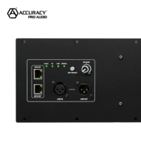 Accuracy Pro Audio 1120W Módulo amplificador activo de clase D digital de alta potencia para Módulo de matriz de línea