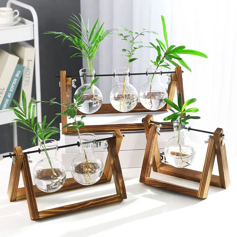 Bitki yuvarlak cam şişe hidroponik cam vazo için çiçek veya su tesisi ahşap destek ile ev dekorasyon için