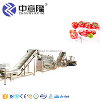 Industrie Grote Tomatenpuree Productielijn Mini Complete Industriële Concentraat Tomatenketchup Verwerkingsfabriek