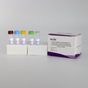 Kit de PCR en Tiempo Real de Triple Fluorescencia Preciso y Eficiente para la Diarrea Epidémica Porcina, la Gastroenteritis Transmisible y el Coronavirus Delta - Product Image 6