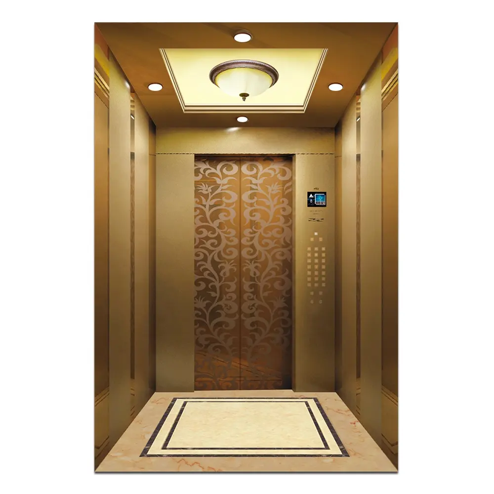 Iyi dekorasyon ile küçük ev asansör/otel asansör fiyat villa asansörü 1 kat