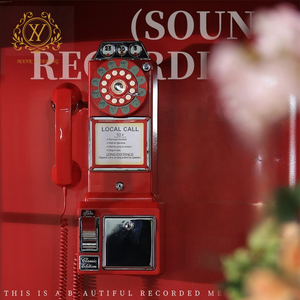 Sổ lưu niệm video đám cưới 2025, máy quay phim di động cổ điển gắn tường, điện thoại chúc phúc cho đám cưới, sinh nhật, lễ tốt nghiệp - Product Image 1