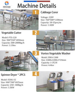 Machine de découpe, lavage et séchage de choux Fengxiang 2000 kg/h en acier inoxydable SUS304 – Ligne de traitement de légumes frais coupés - Product Image 5