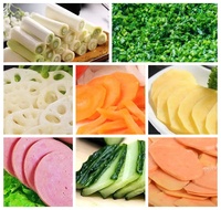 Commerciële Keuken Groente Fruit Wortel Snijden Snijmachine Voor Aardappel Wortelkomkommer Versnippering Plakjes