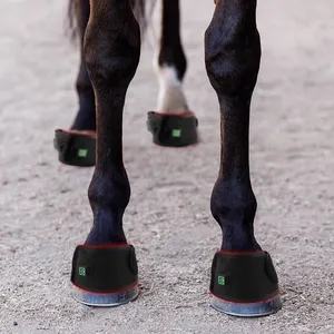 Anredar New Products Photonic Red Light Therapy Belt Horses Hoof Improves The Horses' Muscle Elasticity Reduce Pain