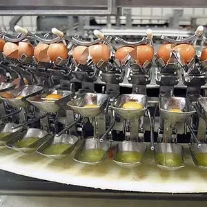 Máquina comercial de trituração e trituração de casca de ovo, separador separado de gema branca para ovo