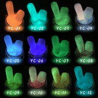 Poudre Lumineuse Bojun YC Vert Néon Fluorescent pour Ongles, 12 Grilles, Pigment Réfléchissant 3D pour Nail Art