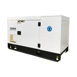 Electric Generators Power Plant Canopy Diesel Genset 3 Phase 20kva 25kw Diesel Magnetic Back up Power Generator