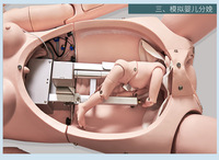 Maniquí Obstétrico para Parto, Simulador de Parto, RCP Materna, Reanimación Neonatal, Modelo de Enseñanza para Hemorragias Posparto