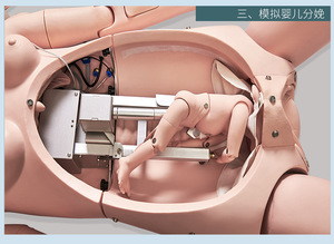 โมเดลการสอนวิทยาศาสตร์ทางการแพทย์หุ่นจำลองมนุษย์สำหรับการคลอดบุตรขั้นสูงและแม่ชุดปฐมพยาบาลสำหรับทารก<span class=keywords><strong>แรก</strong></span>เกิดจำลองสถานการณ์ฉุกเฉิน - Product Image 4