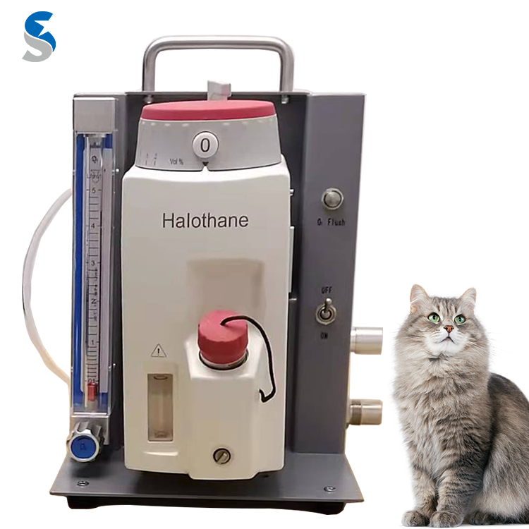 Standard High Pressure Gas Supply Hot Sale Anesthesia Machine