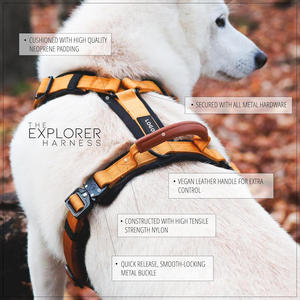 Arnés de Lujo Deportivo y de Moda Personalizado para Mascotas, Chaleco Ajustable para Perros con Cadena y Cinturón Sin Tensión, Patrón Sólido, Venta al por Mayor - Product Image 5