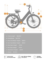 EU-Lager Hillmiles MileCity 1 Skinny Bike Direktpreis ab Werk 250W E-Bike mit tiefem Einstieg Elektrofahrrad 26 Zoll Reifen E-Bike