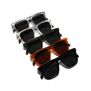 2025 nouvelle Boutique TR90 acétate cadre lunettes de soleil unisexe carré polarisé lunettes de soleil mode personnalisé logo lunettes de soleil - Product Image 2