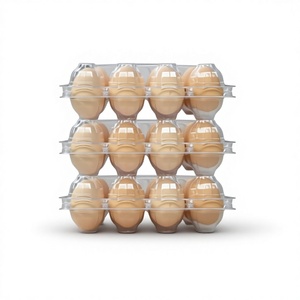 15 <b>Eggs</b> Durable Eco-Friendly PP Plastic <b>Egg</b> Tray Box 100% Recyclable Transparent Food Grade Packaging Carton Safe <b>Storage</b> Custom - Product Image 1