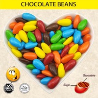 Suikerpoeder bedekte chocolade jelly bean met krokante schaal, fruit smaak, speelgoeddesign, ISO/HACCP gecertificeerd, aanpasbaar, groothandel in bulk