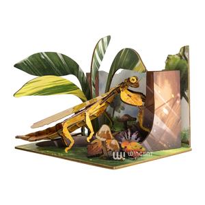 Commercio all'ingrosso della fabbrica più popolare C04501 cartolina di legno per bambini giocattoli Phyllium-bug modello di vendita caldo di piccoli oggetti con alto profitto - Product Image 5