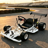 Kart Eléctrico para Adultos, Recargable, con Doble Tracción, para Carreras y Entretenimiento