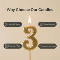 Lilin Angka Lilin Emas Kustom 2026, 0-9 Digit untuk Dekorasi Meja Dessert Pesta Ulang Tahun 5.3cm*3.2cm Gaya Elegan