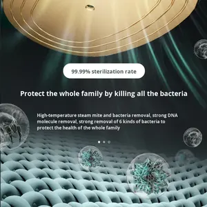 Stiratore a Vapore Portatile per Indumenti, Ferro da Stiro a Secco e Umido, Macchina da Stiro Compatta per Uso Domestico - Product Image 5