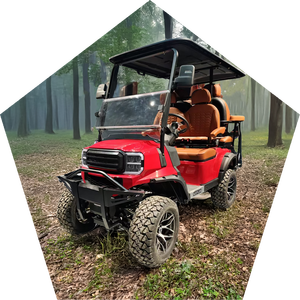 Wholesale High Top Electric Commercial <b>Rechargeable</b> <b>Battery</b> Lithium Lifted Golf Cart - Product Image 5