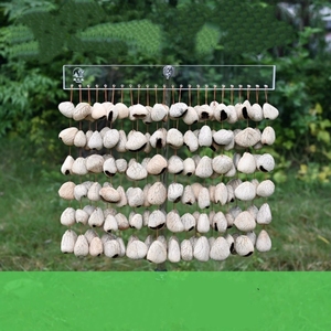 Campanas de Viento de Conchas Naturales al por Mayor para Sanación Sonora, Instrumento de Percusión, Yoga, Meditación y Terapia - Product Image 6