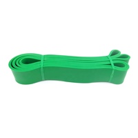 Bandas de Resistencia para Ejercicios, Bandas de Asistencia para Dominadas y Fortalecimiento