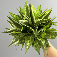 Bonsai Aglaonema Plastik Berkualitas Tinggi 12 Daun Bermotif Bunga 30-100cm Dekorasi Pot Kecil Tanaman Hijau Kantor