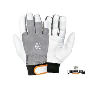 Guantes de piel COLDEXT Cofra, protección contra el frío categoría II (12 pares) - Product Image 3