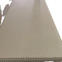 Panneau de gouttière en PVC couleur bois pour extérieur, panneau de plafond de 300 mm de large