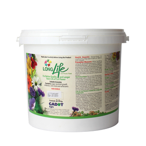 Israel Flower Life floristería de barril conservantes especiales de flores frescas - Product Image 1