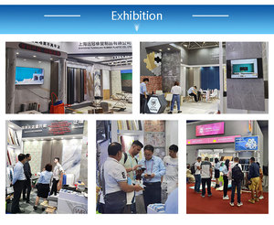 <span class=keywords><strong>Papel</strong></span> Tapiz No Tejido para Hogar/Comercial: Múltiples Diseños para Satisfacer sus Necesidades - Product Image 6