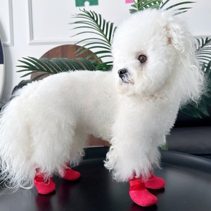 Chaussettes chaudes d'hiver pour <span class=keywords><strong>chien</strong></span>, imperméables, antidérapantes, protège-<span class=keywords><strong>pattes</strong></span> pour animaux de compagnie, chaussures réglables pour <span class=keywords><strong>chien</strong></span> pour la <span class=keywords><strong>protection</strong></span> des sols en bois dur - Product Image 2