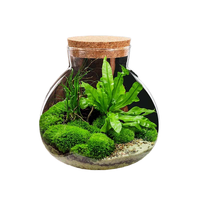 Pot en verre micro-paysage fait à la main couvercle en liège vase de table en gros pour mariages terrarium style art déco pour plantes aériennes