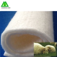 Wholesale Cheap Price Raw Sheep Wool Fiber Washed Sheep Carpet Bag Feature Eco Material Yarn Wool Felt Fiber