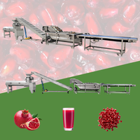 Fruitverwerkingsfabriek, productielijn voor granaatappelsap, machine voor het wassen, pellen en sap maken van granaatappels
