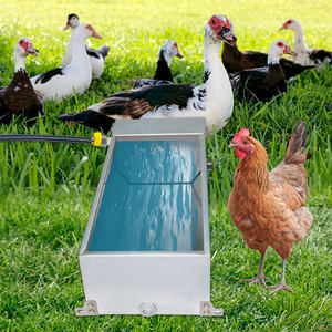 <span class=keywords><strong>Abreuvoir</strong></span> <span class=keywords><strong>automatique</strong></span> pour bétail en acier inoxydable de grande capacité Equipment-7.5L pour l'élevage de porcs, moutons et vaches - Product Image 5
