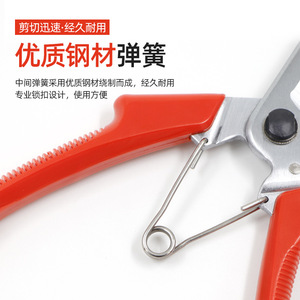Basil Fruit Tree Pruning Shears Carbon Steel Red 120mm Butterfly Structure Manual Trimming Diameter 20-30mm - Product Image 1