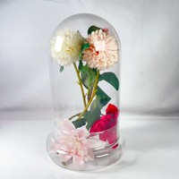 Campana de Cristal Transparente de 8 Pulgadas con Base para Plantas de Interior, Terrario Pequeño, Florero de Mesa para Bodas, Decoración del Hogar Hecha a Mano y Ecológica