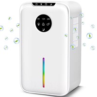 Déshumidificateur électrique portable 1L, déshydrateur d'air domestique, réfrigérant, alimentation électrique, fabriqué en plastique pour usage domestique