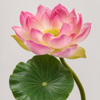 Lot de fleurs artificielles de lotus en soie, style zen chinois, 26 cm, réalistes, 2 fleurs + 1 bourgeon, pour la décoration de la maison, de la table et du salon de thé, vente en gros