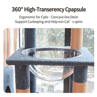 Arbre à chat en bois design château, avec capsule transparente à 360 degrés, lit incurvé, poteaux en sisal et design minimaliste en carton, pour les acheteurs de meubles pour chats OEM