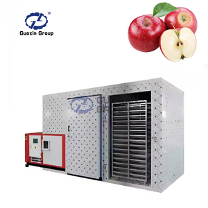 Máquina de Secado de Gran Capacidad y Alto Rendimiento para Secar Rodajas de Cuca, Ciruelas Damson y Bayas de Ciruelo - Product Image 4