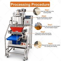 Mijn semi-automatische siroopkookpot, geleidispenser, fruit snoep productie- en zoetwarenmachine voor gummyberen