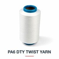 Fil torsadé en polyamide DTY-SD 100D/24F*2 100TPM