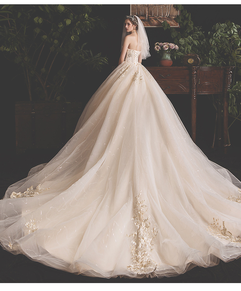 Champagne Lace Elegant Wedding Dress Sleeves
