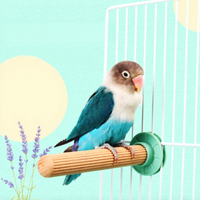 Perchoir à balançoire en bois de hêtre pour oiseaux, jouet de meulage des griffes et du bec, accessoire de cage, fabriqué au Shandong, marque Beison, pour perroquets, calopsittes et oiseaux